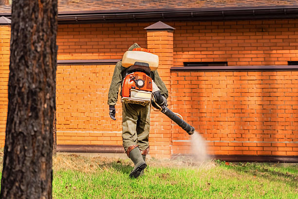 Trusted Mosquito Control service in Welcome, NC - Nex Pest Control
